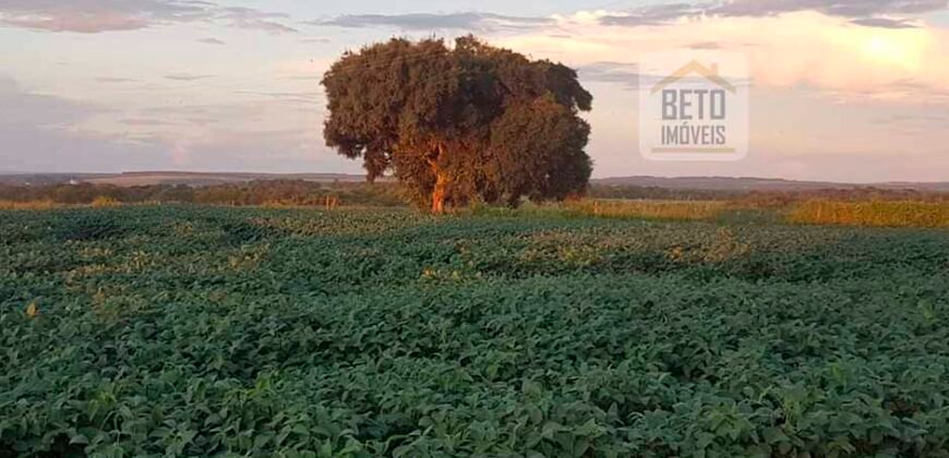 Excelente Fazenda a venda, 934 Alqueires em Paranapanema-SP Excelente Fazenda a venda, 934 Alqueires em Paranapanema-SP