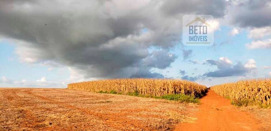 Excelente Fazenda a venda, 934 Alqueires em Paranapanema-SP Excelente Fazenda a venda, 934 Alqueires em Paranapanema-SP
