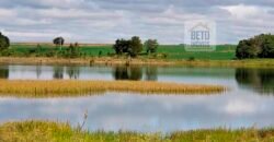 Excelente Fazenda a venda, 934 Alqueires em Paranapanema-SP Excelente Fazenda a venda, 934 Alqueires em Paranapanema-SP