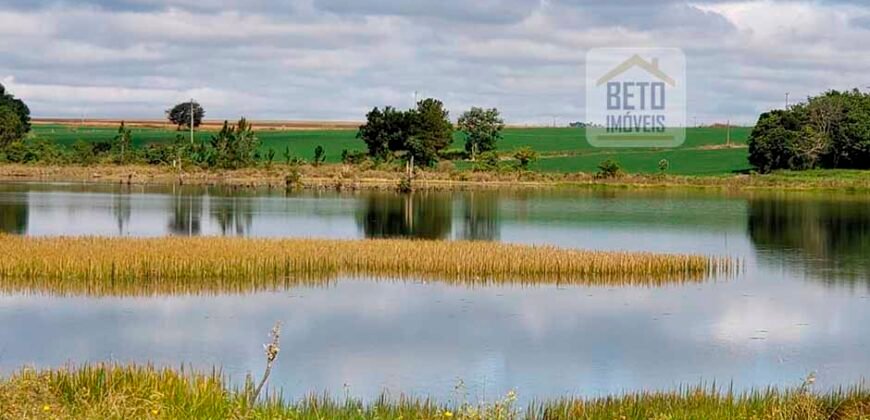 Excelente Fazenda a venda, 934 Alqueires em Paranapanema-SP Excelente Fazenda a venda, 934 Alqueires em Paranapanema-SP