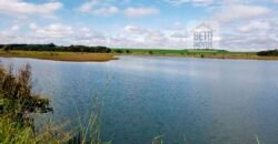 Excelente Fazenda a venda, 934 Alqueires em Paranapanema-SP Excelente Fazenda a venda, 934 Alqueires em Paranapanema-SP