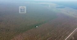 Fazenda à Venda, 5.600 hectares em Cerejeira/ Rondônia