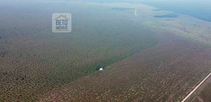 Fazenda à Venda, 5.600 hectares em Cerejeira/ Rondônia