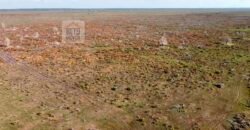 Fazenda à Venda, 5.600 hectares em Cerejeira/ Rondônia