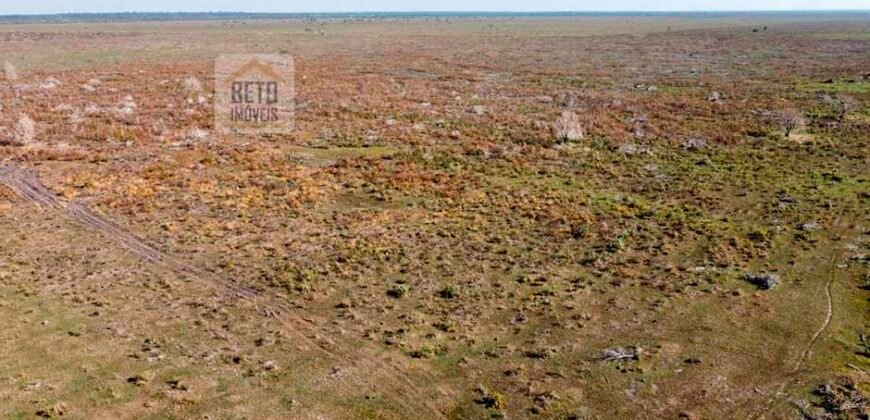 Fazenda à Venda, 5.600 hectares em Cerejeira/ Rondônia