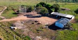 Fazenda à Venda, 5.600 hectares em Cerejeira/ Rondônia