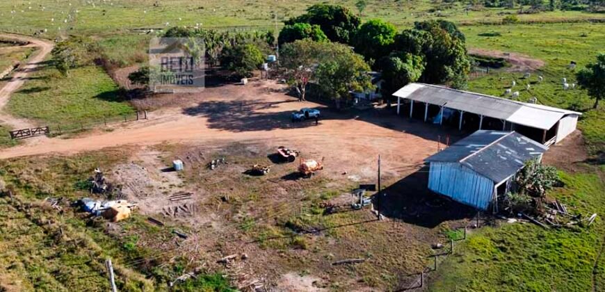 Fazenda à Venda, 5.600 hectares em Cerejeira/ Rondônia