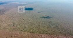 Fazenda à Venda, 5.600 hectares em Cerejeira/ Rondônia