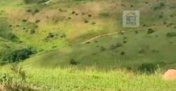 Fazenda 38 alqueires ou 184 hectares para Pecuária | Rio das Flores/RJ