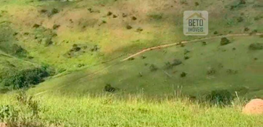 Fazenda 38 alqueires ou 184 hectares para Pecuária | Rio das Flores/RJ