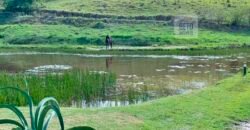 Fazenda 38 alqueires ou 184 hectares para Pecuária | Rio das Flores/RJ