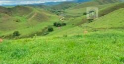 Fazenda 38 alqueires ou 184 hectares para Pecuária | Rio das Flores/RJ