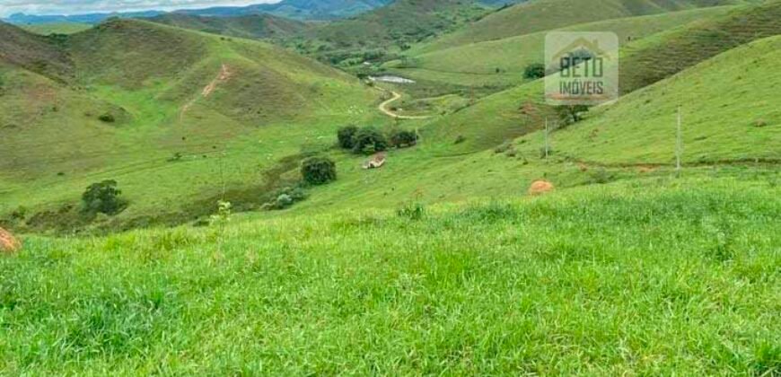 Fazenda 38 alqueires ou 184 hectares para Pecuária | Rio das Flores/RJ