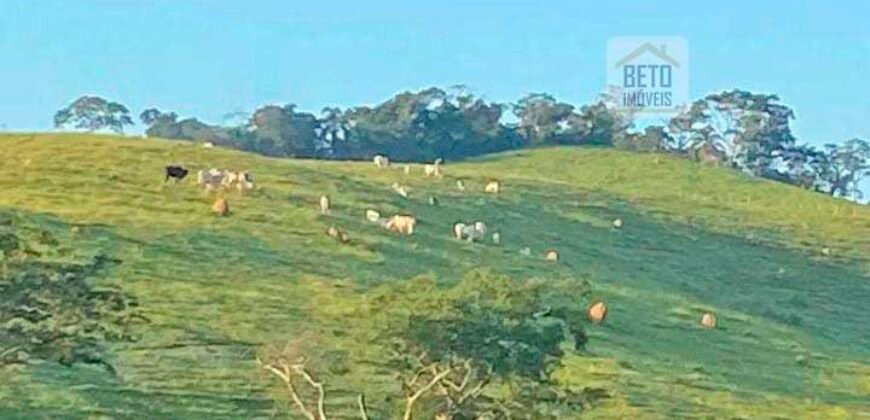 Fazenda 38 alqueires ou 184 hectares para Pecuária | Rio das Flores/RJ