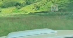 Fazenda 38 alqueires ou 184 hectares para Pecuária | Rio das Flores/RJ