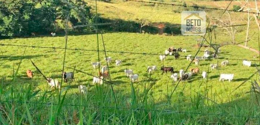 Fazenda 38 alqueires ou 184 hectares para Pecuária | Rio das Flores/RJ