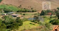 Fazenda 4 Quartos e 2 banheiros à Venda, 244.100 hectares em Belmiro Braga MG