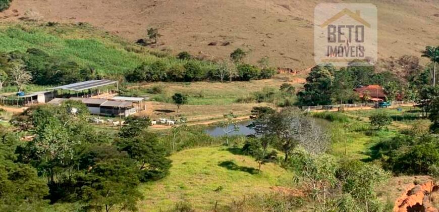 Fazenda 4 Quartos e 2 banheiros à Venda, 244.100 hectares em Belmiro Braga MG