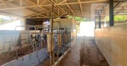 Fazenda 4 Quartos e 2 banheiros à Venda, 244.100 hectares em Belmiro Braga MG