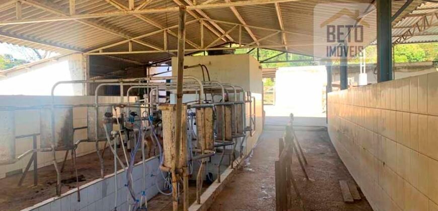 Fazenda 4 Quartos e 2 banheiros à Venda, 244.100 hectares em Belmiro Braga MG