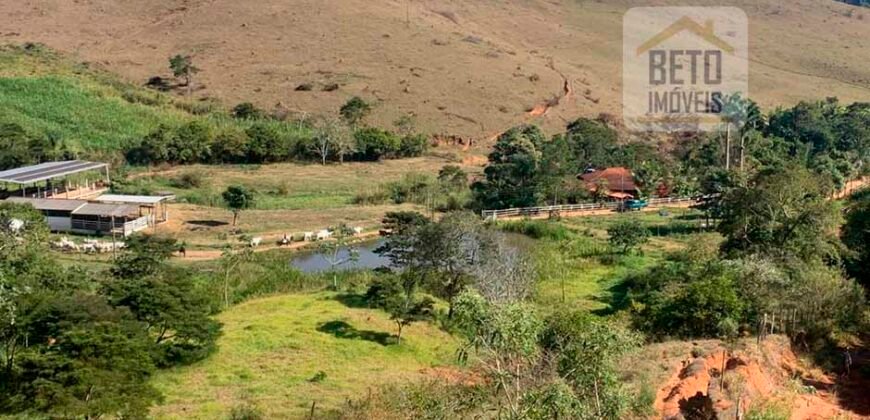 Fazenda 4 Quartos e 2 banheiros à Venda, 244.100 hectares em Belmiro Braga MG