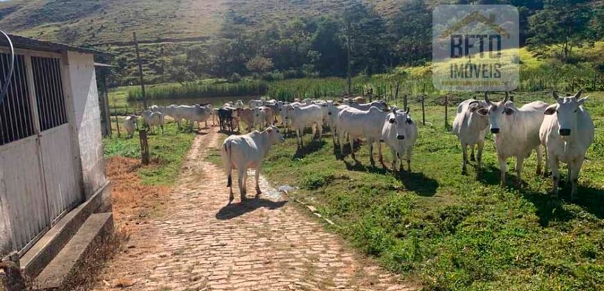 Fazenda 4 Quartos e 2 banheiros à Venda, 244.100 hectares em Belmiro Braga MG