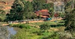 Fazenda 4 Quartos e 2 banheiros à Venda, 244.100 hectares em Belmiro Braga MG