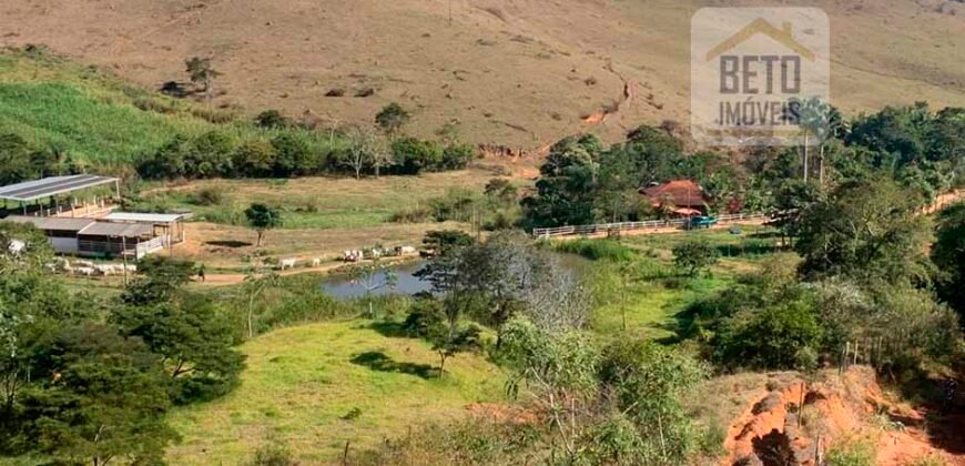 Fazenda 4 Quartos e 2 banheiros à Venda, 244.100 hectares em Belmiro Braga MG
