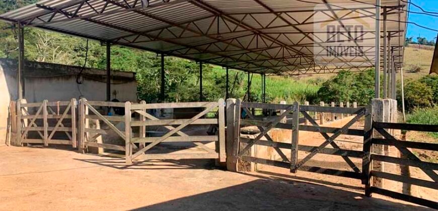 Fazenda 4 Quartos e 2 banheiros à Venda, 244.100 hectares em Belmiro Braga MG