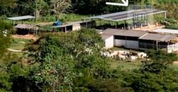 Fazenda 4 Quartos e 2 banheiros à Venda, 244.100 hectares em Belmiro Braga MG