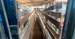 Fazenda 4 Quartos e 2 banheiros à Venda, 244.100 hectares em Belmiro Braga MG