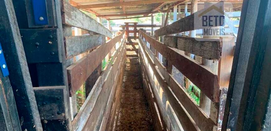 Fazenda 4 Quartos e 2 banheiros à Venda, 244.100 hectares em Belmiro Braga MG