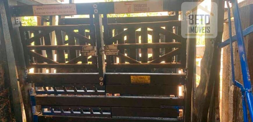 Fazenda 4 Quartos e 2 banheiros à Venda, 244.100 hectares em Belmiro Braga MG