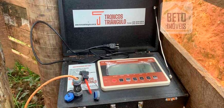 Fazenda 4 Quartos e 2 banheiros à Venda, 244.100 hectares em Belmiro Braga MG