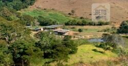 Fazenda 4 Quartos e 2 banheiros à Venda, 244.100 hectares em Belmiro Braga MG