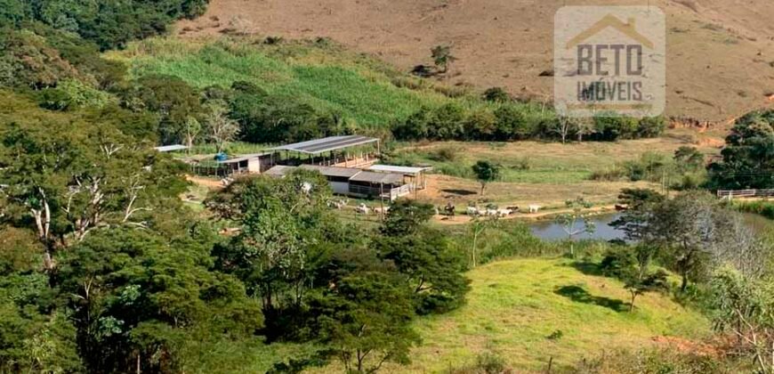 Fazenda 4 Quartos e 2 banheiros à Venda, 244.100 hectares em Belmiro Braga MG