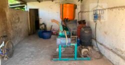 Fazenda 4 Quartos e 2 banheiros à Venda, 244.100 hectares em Belmiro Braga MG