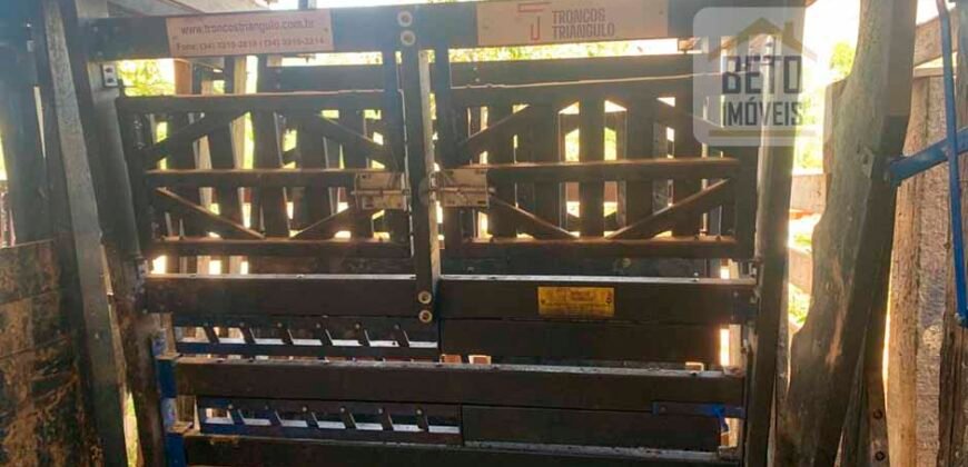 Fazenda 4 Quartos e 2 banheiros à Venda, 244.100 hectares em Belmiro Braga MG