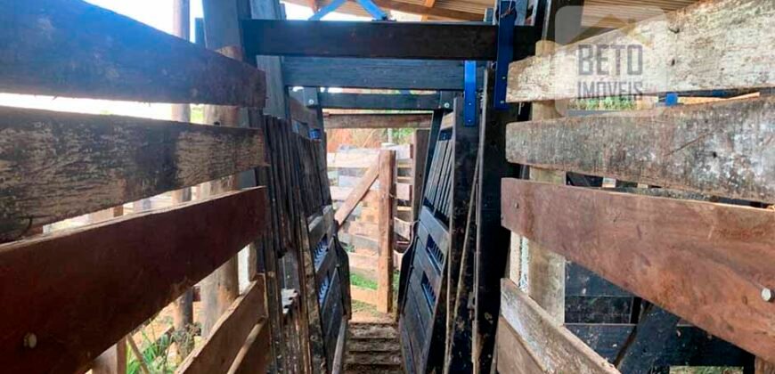 Fazenda 4 Quartos e 2 banheiros à Venda, 244.100 hectares em Belmiro Braga MG