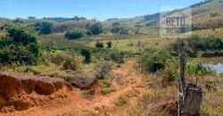 Fazenda 4 Quartos e 2 banheiros à Venda, 244.100 hectares em Belmiro Braga MG
