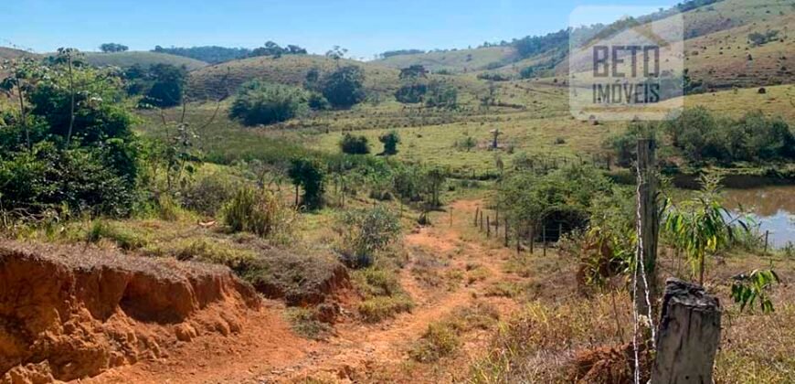 Fazenda 4 Quartos e 2 banheiros à Venda, 244.100 hectares em Belmiro Braga MG