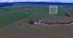 Fazenda com 25 mil hectares em Área Rural de Araxá – Araxá – MG Fazenda com 25 mil hectares em Área Rural de Araxá – Araxá – MG