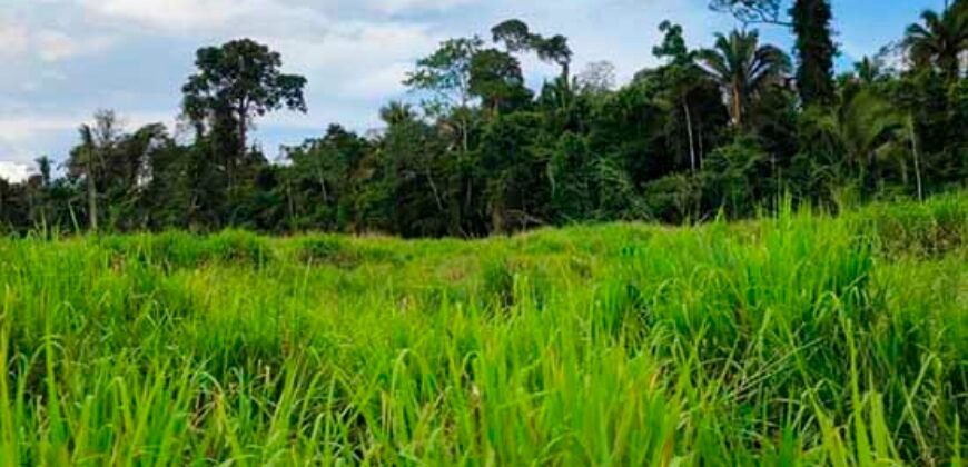 Fazenda com 25 mil hectares em Área Rural de Araxá – Araxá – MG Fazenda com 25 mil hectares em Área Rural de Araxá – Araxá – MG