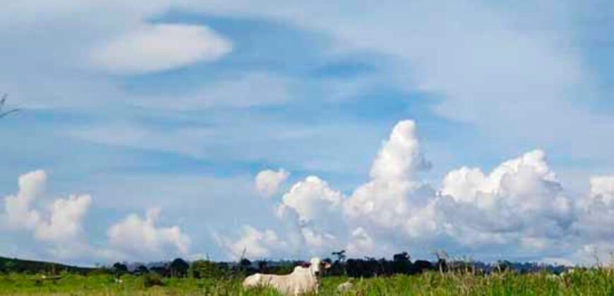 Fazenda com 25 mil hectares em Área Rural de Araxá – Araxá – MG Fazenda com 25 mil hectares em Área Rural de Araxá – Araxá – MG
