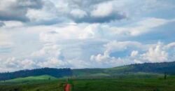 Fazenda com 25 mil hectares em Área Rural de Araxá – Araxá – MG Fazenda com 25 mil hectares em Área Rural de Araxá – Araxá – MG