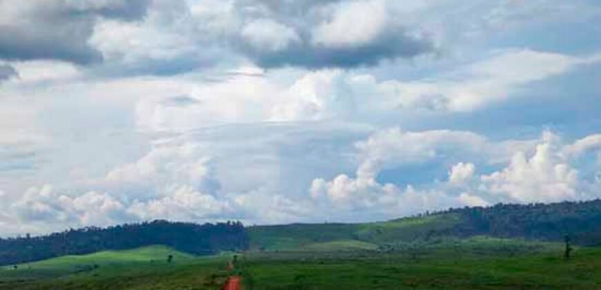Fazenda com 25 mil hectares em Área Rural de Araxá – Araxá – MG Fazenda com 25 mil hectares em Área Rural de Araxá – Araxá – MG