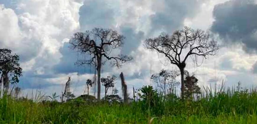 Fazenda com 25 mil hectares em Área Rural de Araxá – Araxá – MG Fazenda com 25 mil hectares em Área Rural de Araxá – Araxá – MG