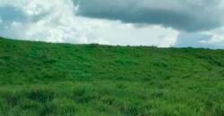 Fazenda com 25 mil hectares em Área Rural de Araxá – Araxá – MG Fazenda com 25 mil hectares em Área Rural de Araxá – Araxá – MG