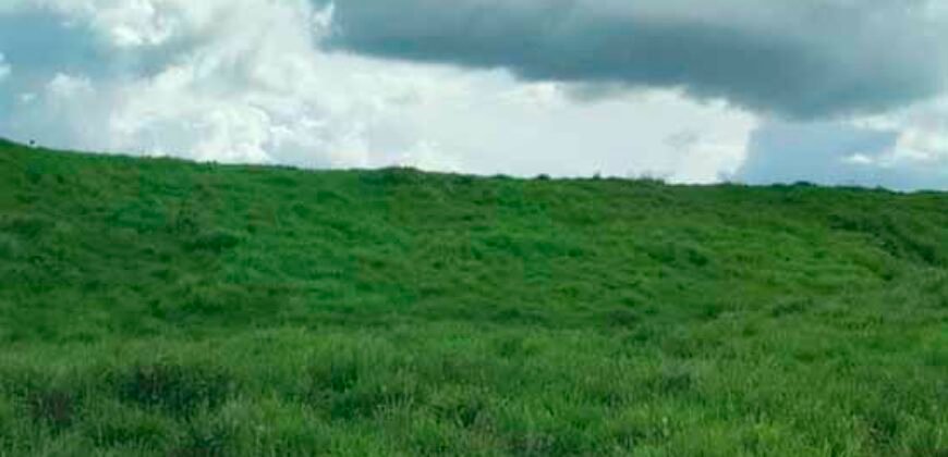 Fazenda com 25 mil hectares em Área Rural de Araxá – Araxá – MG Fazenda com 25 mil hectares em Área Rural de Araxá – Araxá – MG