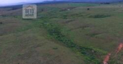 Fazenda com 25 mil hectares em Área Rural de Araxá – Araxá – MG Fazenda com 25 mil hectares em Área Rural de Araxá – Araxá – MG